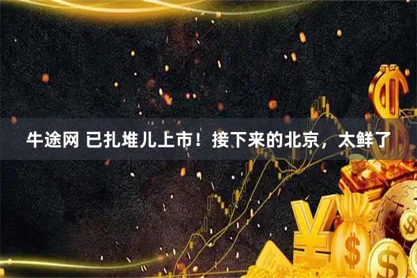 牛途网 已扎堆儿上市!接下来的北京,太鲜了