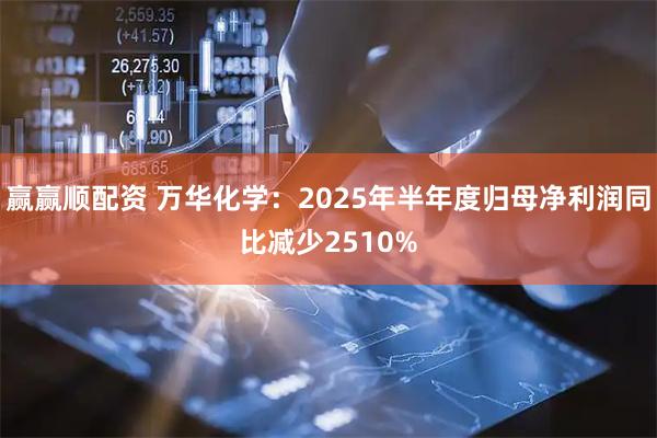赢赢顺配资 万华化学：2025年半年度归母净利润同比减少2510%