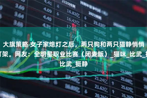 大旗策略 女子家熄灯之后,两只狗和两只猫静悄悄地打架。网友:全明星职业比赛(闭麦版)_猫咪_比武_挺静