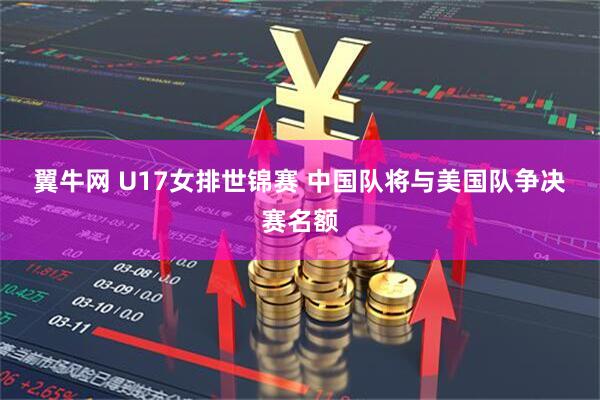 翼牛网 U17女排世锦赛 中国队将与美国队争决赛名额
