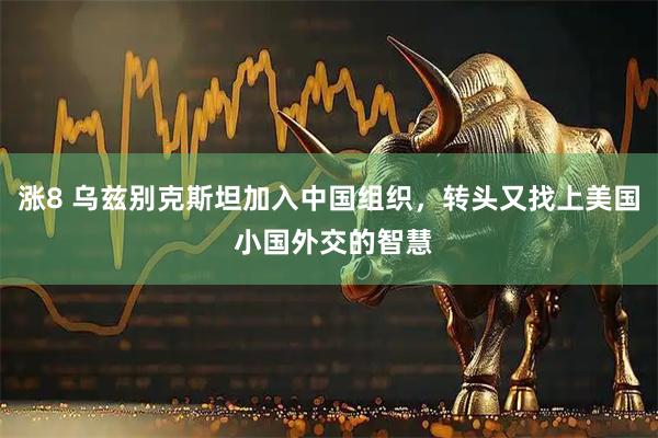 涨8 乌兹别克斯坦加入中国组织，转头又找上美国 小国外交的智慧